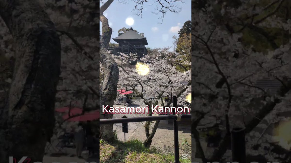 alojapan's tweet image. Kasamori Kannon #shorts
 
alojapan.com/1277247/kasamo…
 
#Chiba #ChibaDestinations #ChibaTour #ChibaTravel #ChibaTrip
