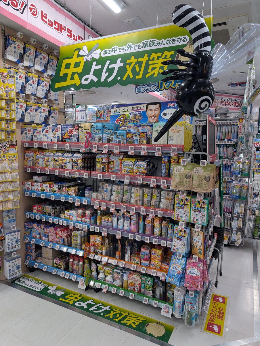 皆様 #虫 どうしてますか⁉ 夏は気になるあいつらが活発に(U 