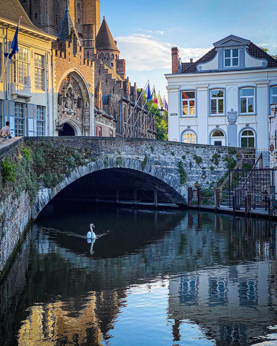 Good morning from Bruges, have a swantastic week! 🦢

📸: instagram.com/delamarck/