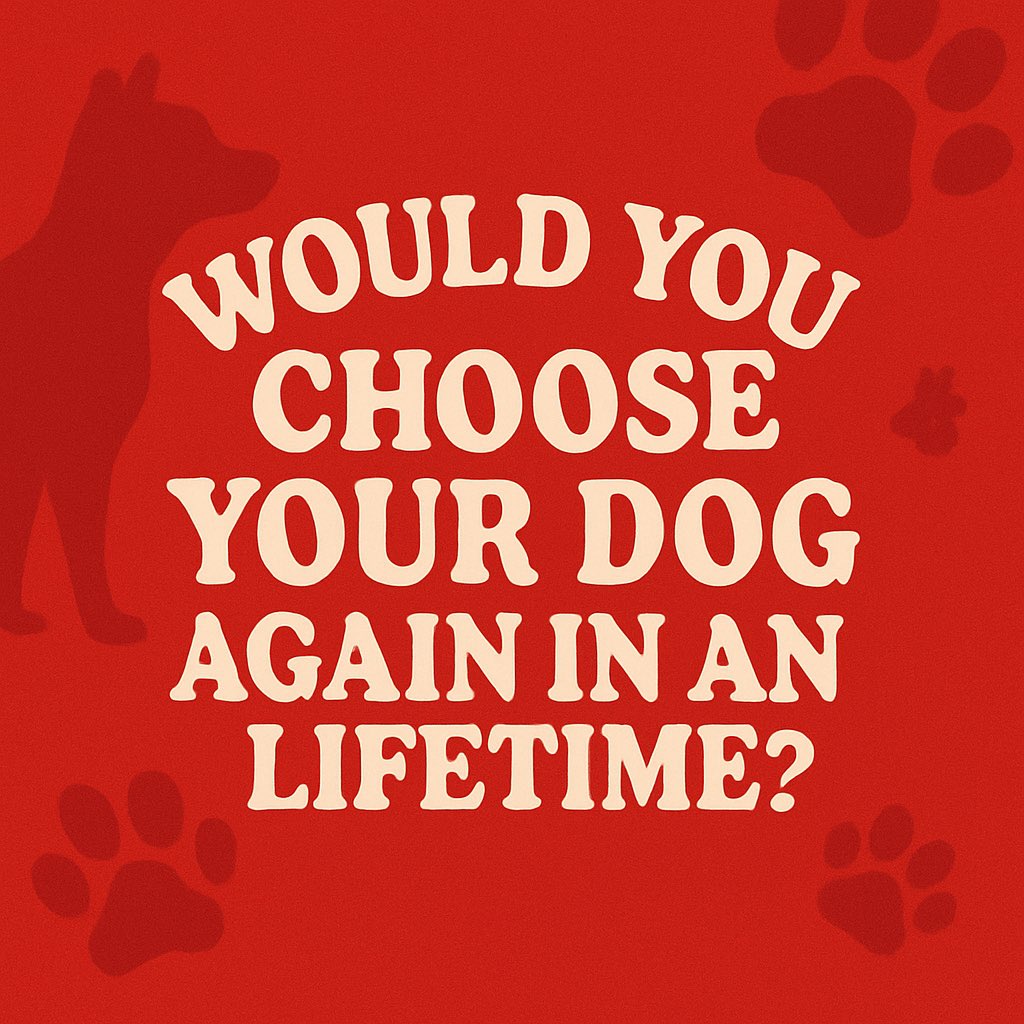 PhilSledge's tweet photo. Would you choose? https://t.co/K7OIb2akNC