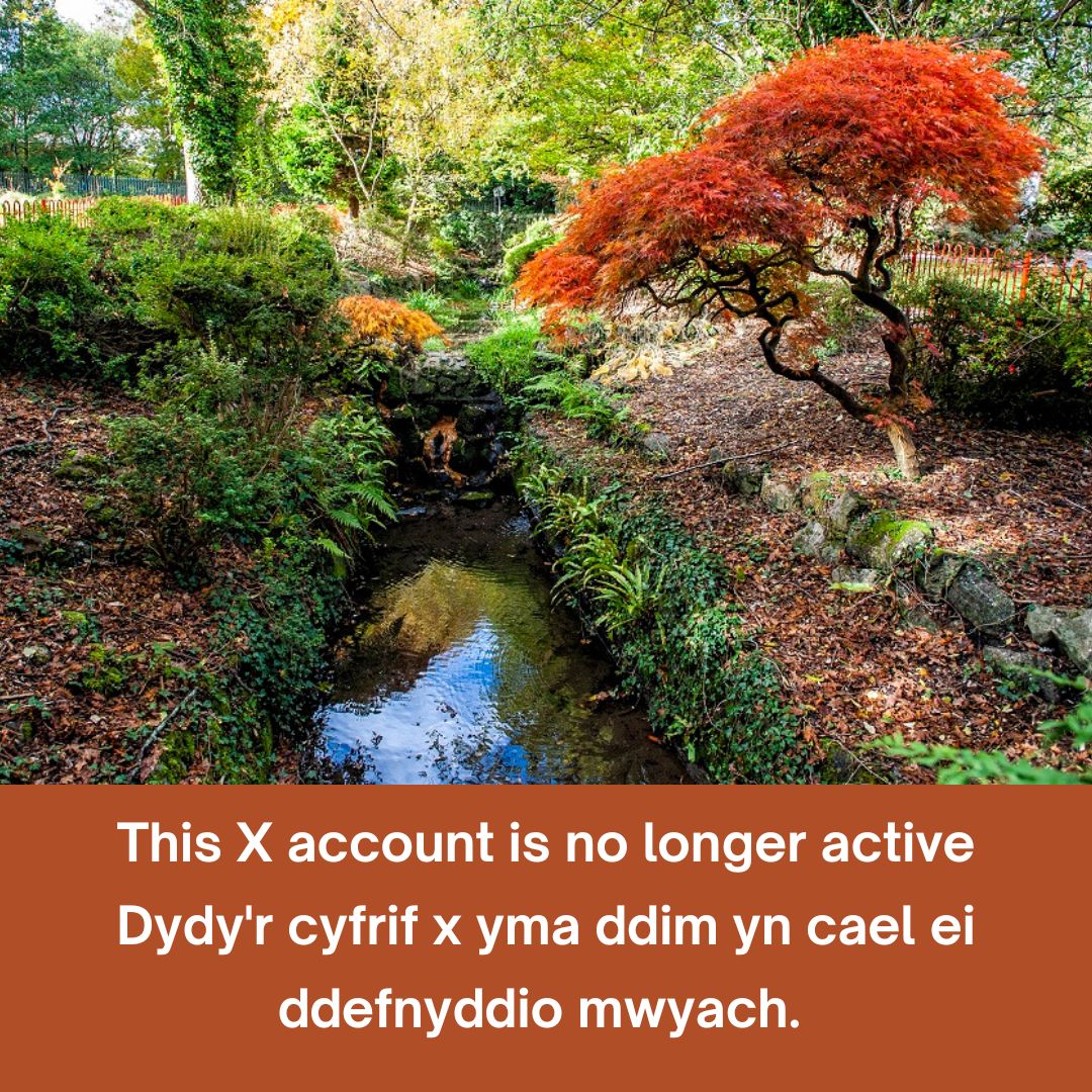 Croeso i RhCT | Visit RCT (@visitrct) on Twitter photo Dydy'r cyfrif x yma ddim yn cael ei ddefnyddio mwyach. Dilynwch <a href="/WhatsOnRCT/">Be’sy mlaen RhCT | What's On RCT</a> i gael yr wybodaeth a'r newyddion diweddaraf am sut i dreulio amser yn RhCT – achlysuron, atyniadau ac ysbrydoliaeth Dydy'r cyfrif x yma ddim yn cael ei ddefnyddio mwyach. Dilynwch <a href="/WhatsOnRCT/">Be’sy mlaen RhCT | What's On RCT</a> i gael yr wybodaeth a'r newyddion diweddaraf am sut i dreulio amser yn RhCT – achlysuron, atyniadau ac ysbrydoliaeth