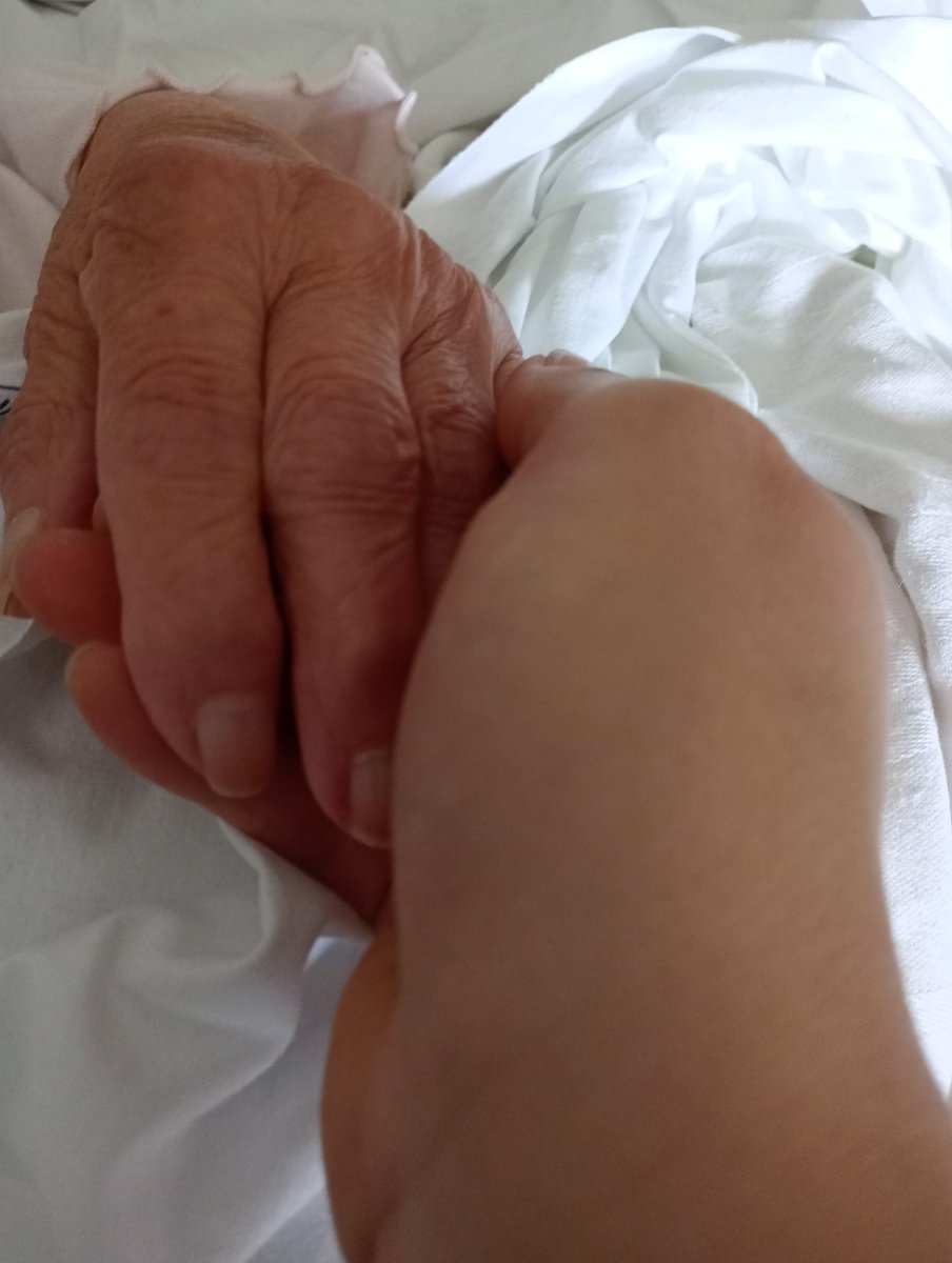 Aras SaintAges 2.0 ♏🦂❄🌈 #antifascista #antifumo tweet media