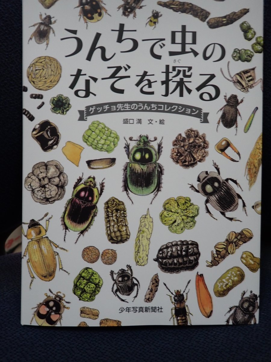 新しい本ができた。
どうぞよろしくおねがいいたします