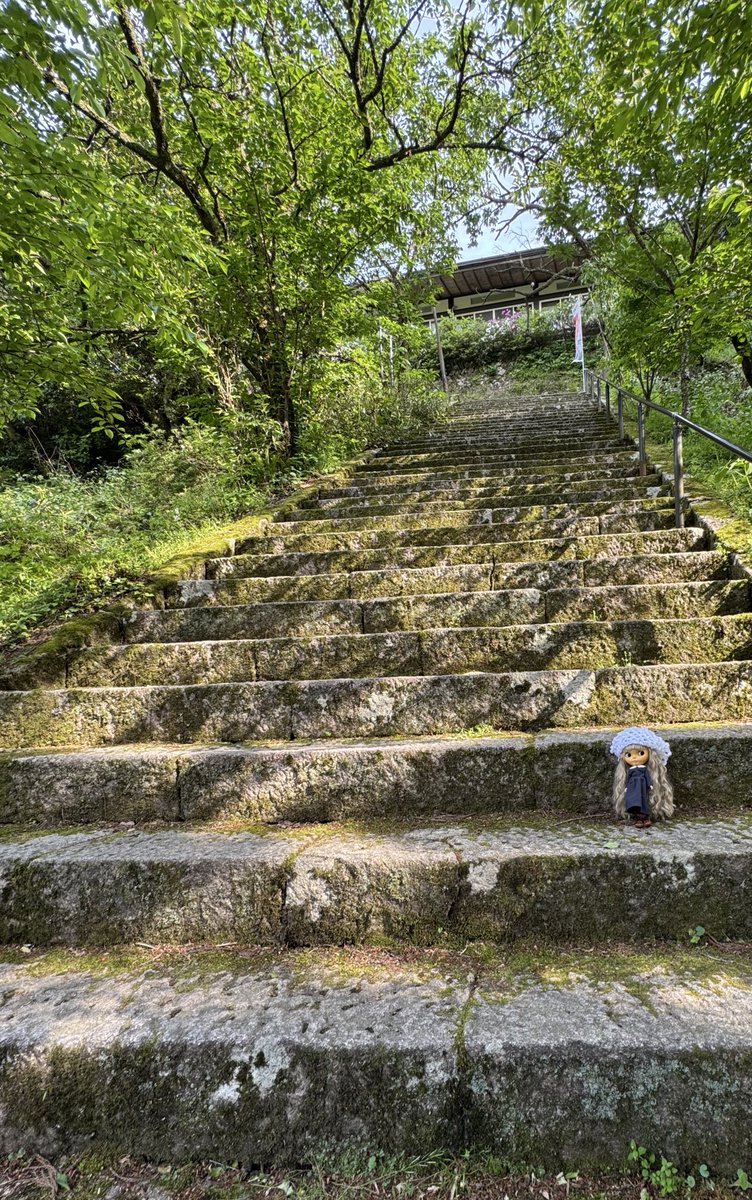 新しいお洋服で森林浴

階段の勾配すごすぎて上りか下りかこんがらがる

#ドル活　#ブライス　#blythe