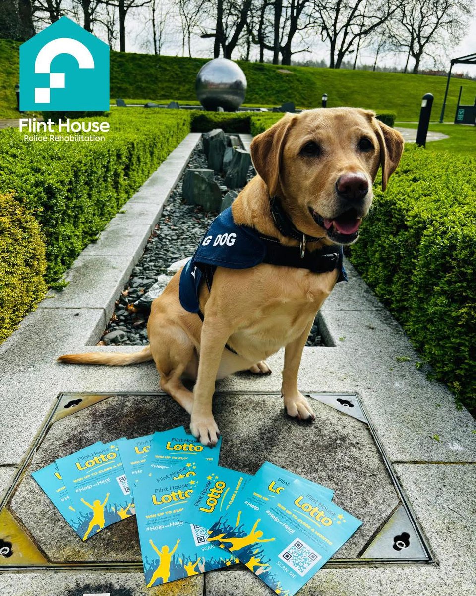 Last time Holly and Paul were at Flint House they were spreading the word about our Lotto!

#bluepaw really do bring a positive mood with them and the support they share with our patients &amp; staff makes a huge difference.

#traumasupport #walks #mentalhealth #helpandheal
