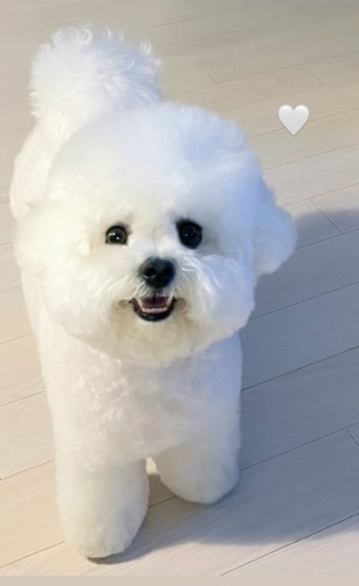 couple2_kim's tweet photo. Song Ruby cutie smile mommy πππ€
#SongHyeKyo #SongRuby https://t.co/MmkAB12wJ7