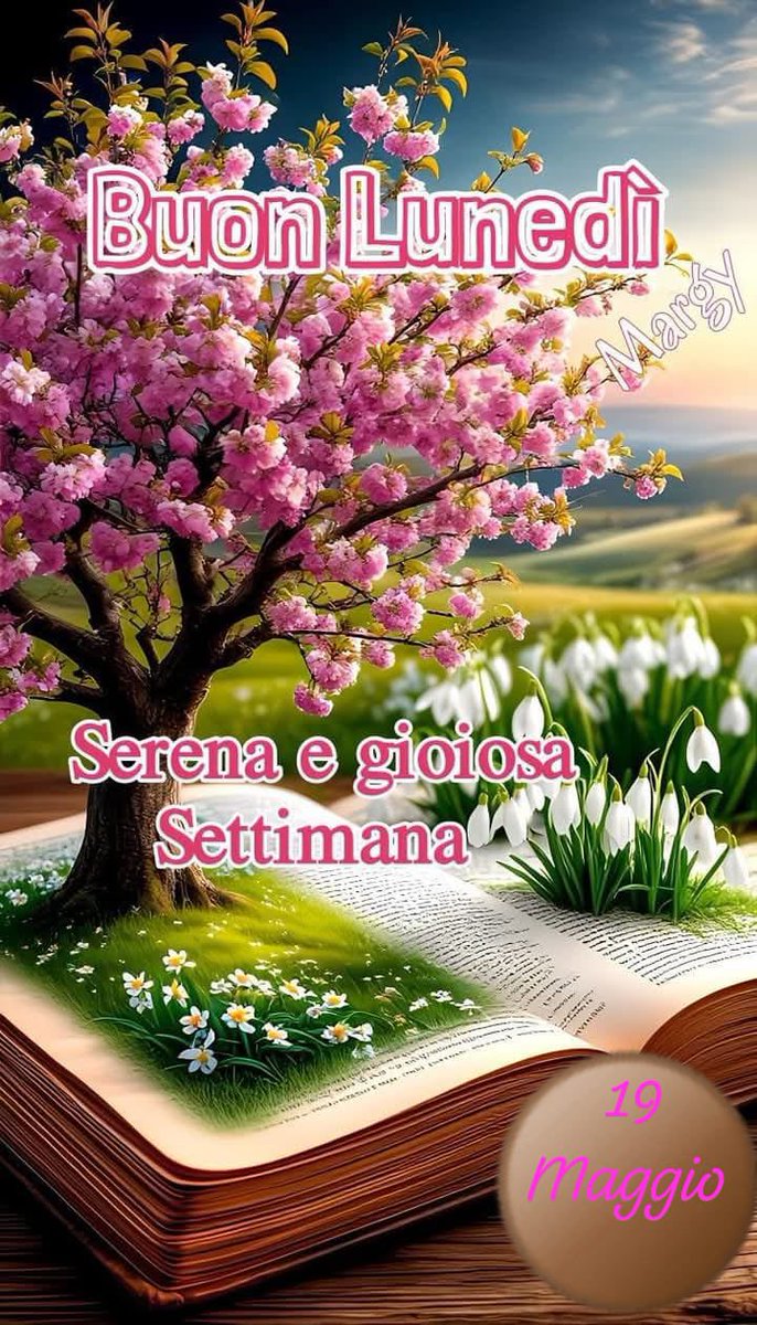 RITABIANCHi56 tweet media