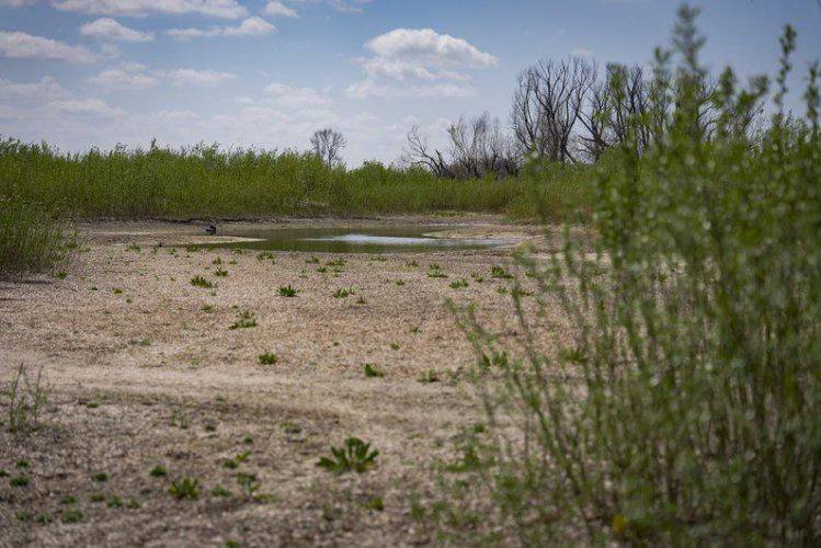 The ecologist showed how Velykyi Luh is being restored on the site of the #Kakhovka #Reservoir – surl.li/yfigga

#ecopolitic #ecology #environment #Ukraine