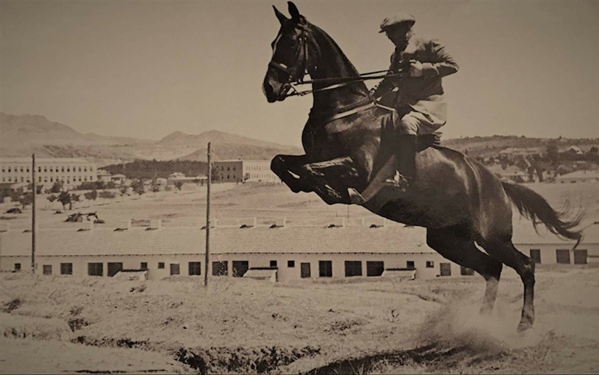 Mustafa_Ari_'s tweet photo. Cumhuriyetimize giden yolda atılan ilk adım olan #19Mayıs Gençlik Ve Spor Bayramımız kutlu olsun. https://t.co/v5agPN2LoS