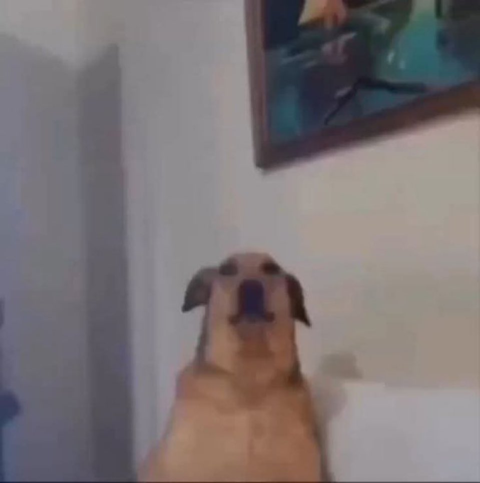 JoelOhtani tweet media