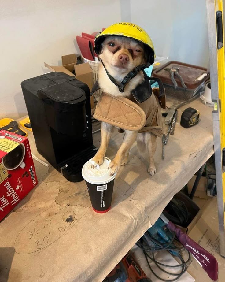 ไลน์กลุ่มวิศวะอุตสาหการ มธ น้า🫶🏼🫶🏼🫶🏼 ใครมีเพื่อนเชิญเพื่อนเข้าได้เลยยย💘
⚙️⚙️ line.me/ti/g/3MFAHmt_eH

#dek68 อุต วิศวะ อุตสาหการ