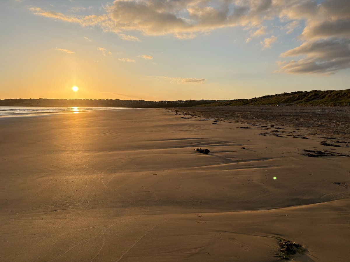 Dmca70's tweet image. Good Morning world 😎 from @PStrandNT