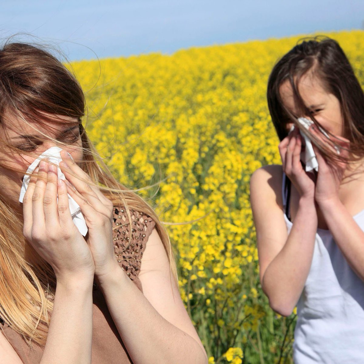 Région Occitanie tweet media