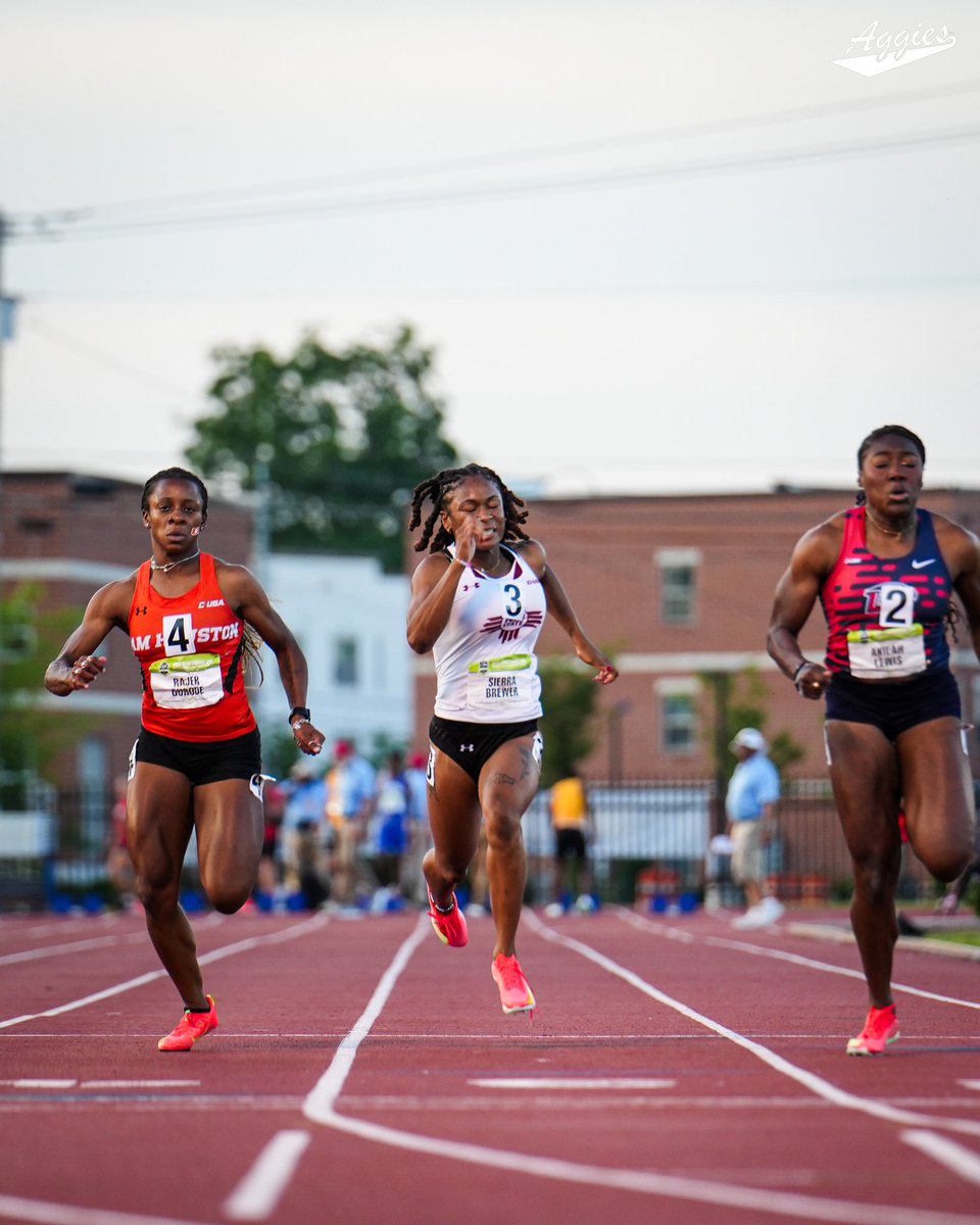 NM State XC/T&F tweet media