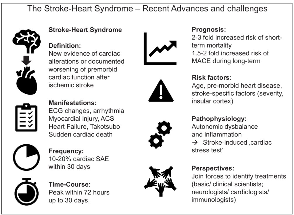 ESC Council on Stroke Chairperson (@escstrokechair) on Twitter photo Stroke triggers inflammation and autonomic dysfunction, leading to 🫀 injury.
🤗Collaborative research is needed to identify therapeutic targets!
👀Check this insightful review by <a href="/Jan_FriSch/">Jan Scheitz 🧠⚡️❤️</a>, <a href="/SposatoL/">Luciano Sposato 🇦🇷🇨🇦</a> et al.:
tinyurl.com/yc3r8h46
#Stroke #Heart <a href="/JAHA_AHA/">JAHA</a> Stroke triggers inflammation and autonomic dysfunction, leading to 🫀 injury.
🤗Collaborative research is needed to identify therapeutic targets!
👀Check this insightful review by <a href="/Jan_FriSch/">Jan Scheitz 🧠⚡️❤️</a>, <a href="/SposatoL/">Luciano Sposato 🇦🇷🇨🇦</a> et al.:
tinyurl.com/yc3r8h46
#Stroke #Heart <a href="/JAHA_AHA/">JAHA</a>