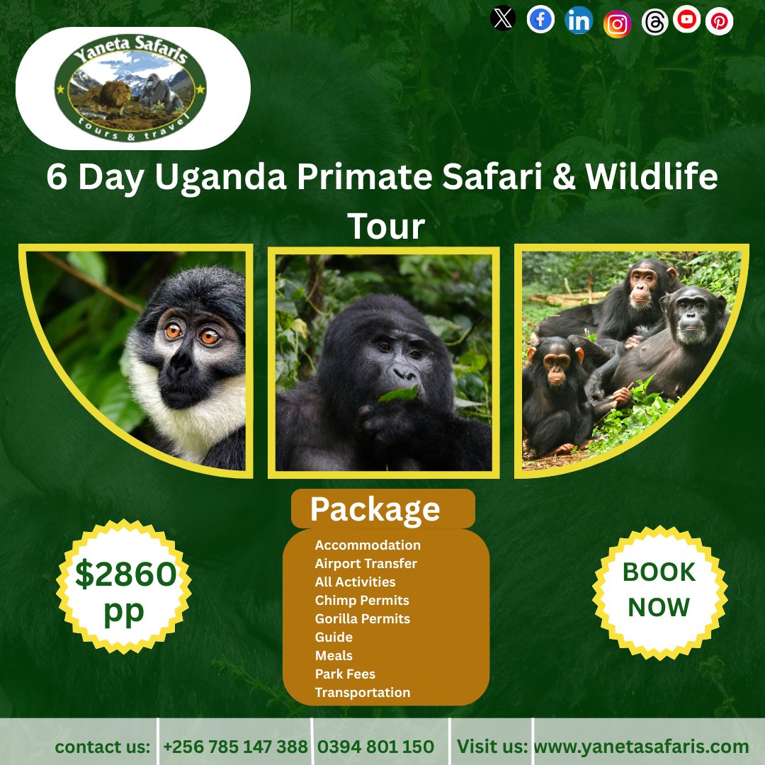 Introducing our 6-Day Uganda Primate Safari &amp; Wildlife Tour.
Pricing is flexible and can be tailored to your group size and personal preferences
 For bookings, inquiries, or to explore more exciting safari packages, please don’t hesitate to contact us. #AdventureAwaits