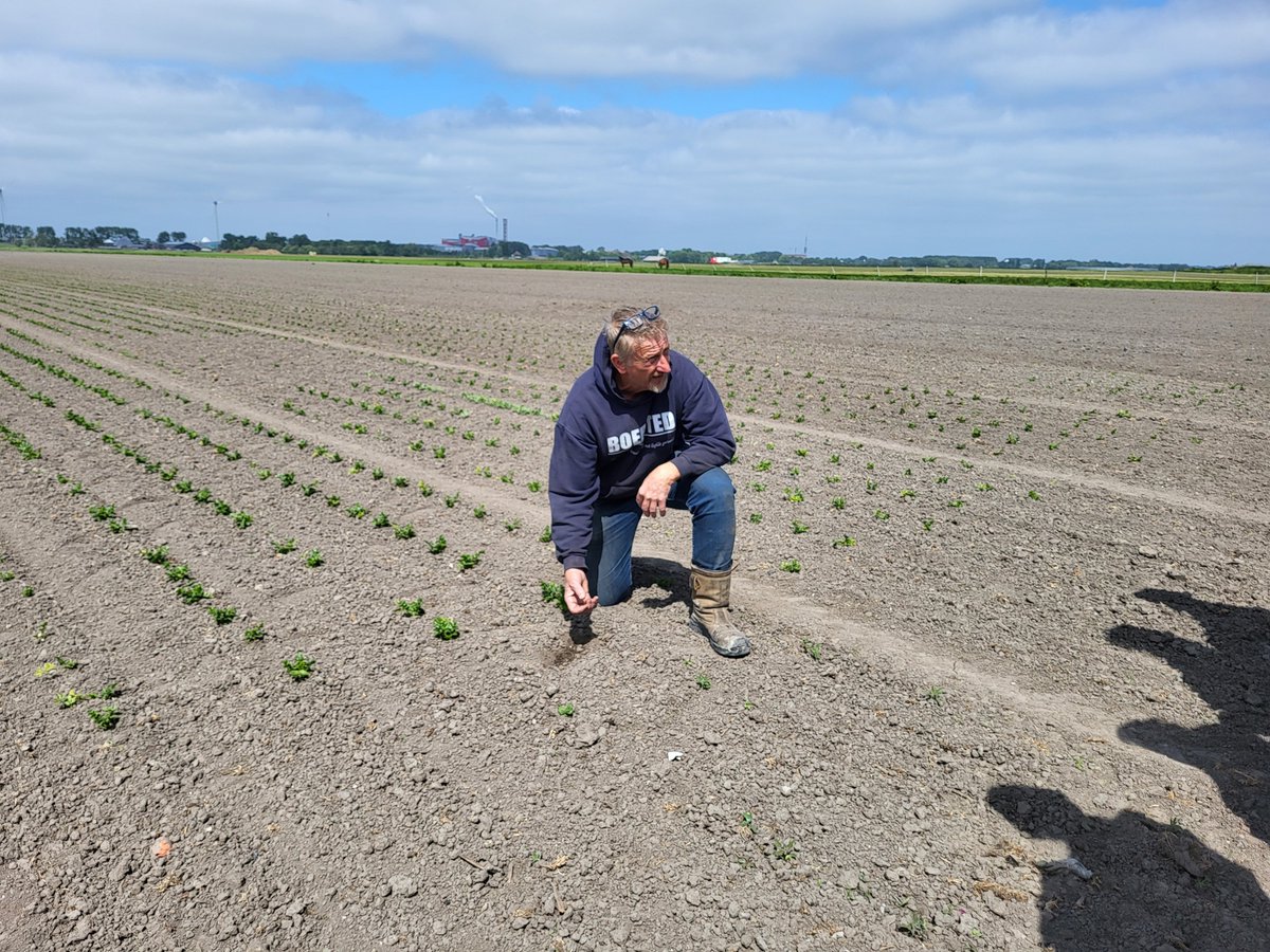 .<a href="/WillemienKoning/">Willemien Koning</a> bezocht samen met Statenleden en Agrarische Collectieven 2 familiebedrijven in NH. Gesproken over weidevogelbeheer, akkerranden en gezonde bodem. Agrarisch natuurbeheer is cruciaal. Uitbreiding vraagt om realistische vergoedingen.