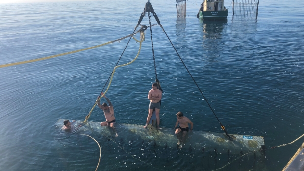 Dagboek van een Visserman - Dirk Kraak -  Week 20 - 2025 -  visserijnieuws.nl/l/40453