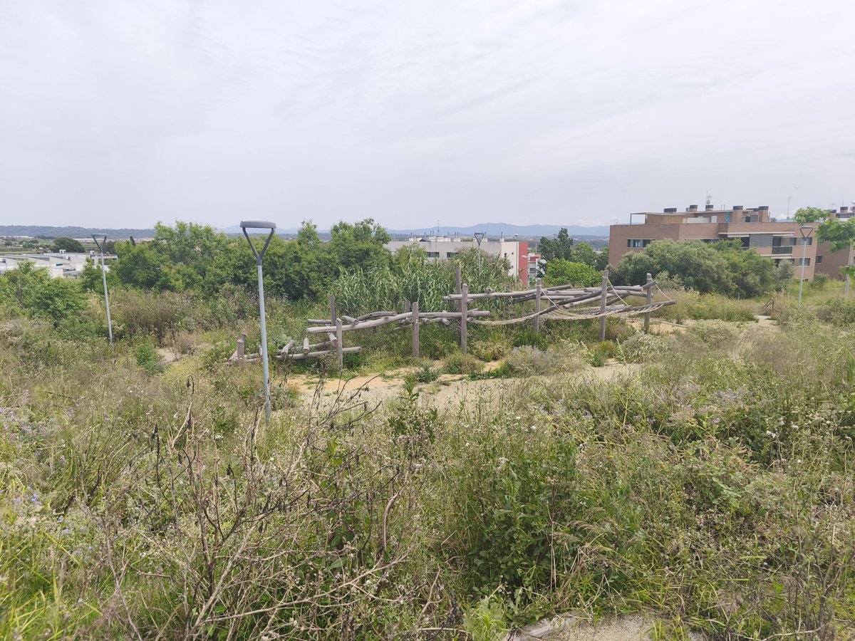 Albert Casanovas tweet media