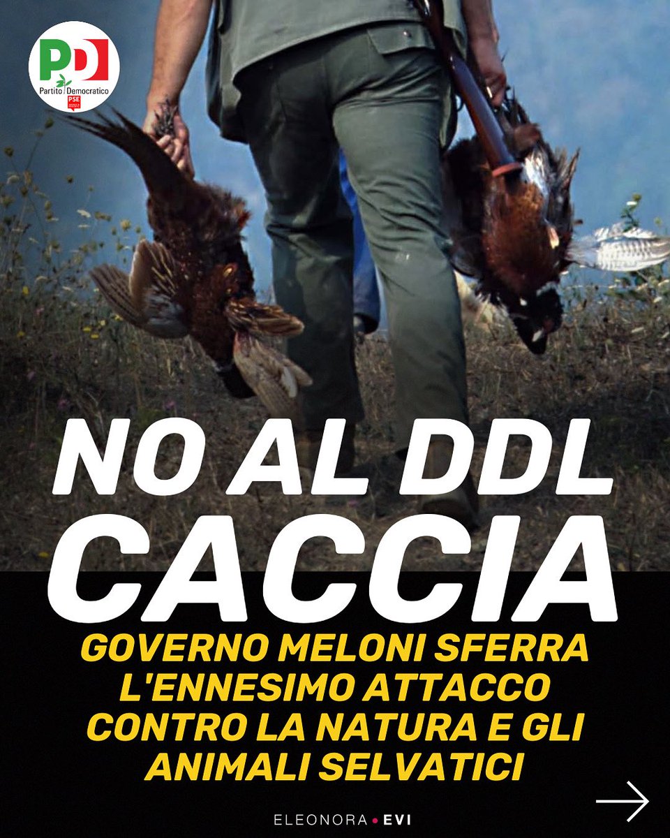 EleonoraEvi's tweet photo. Ecco l’ennesima vergogna di questo governo che nella sua furia ideologica e di propaganda si accanisce contro gli animali selvatici e regala la #natura ai cacciatori. https://t.co/HQ7LCpnr6i