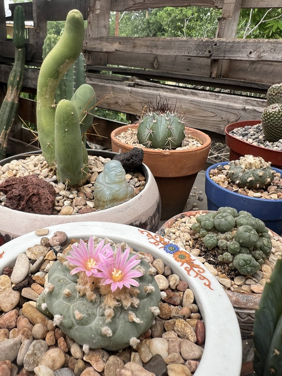 Wook🪬 tweet media