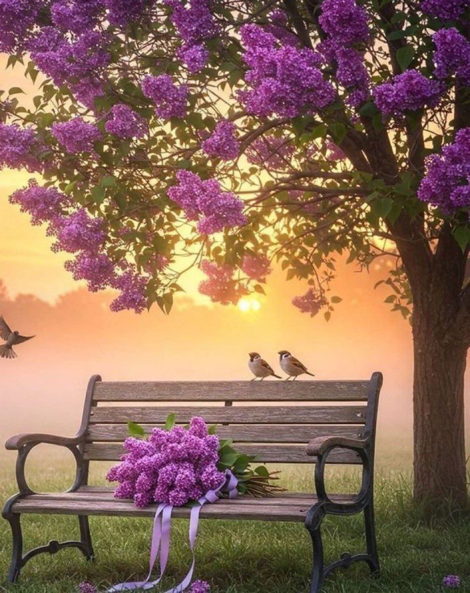 الحمدلله على كل يوم يأتي ونحنُ 
 بكامل عافيّتنا الحمد لله كثيرًا