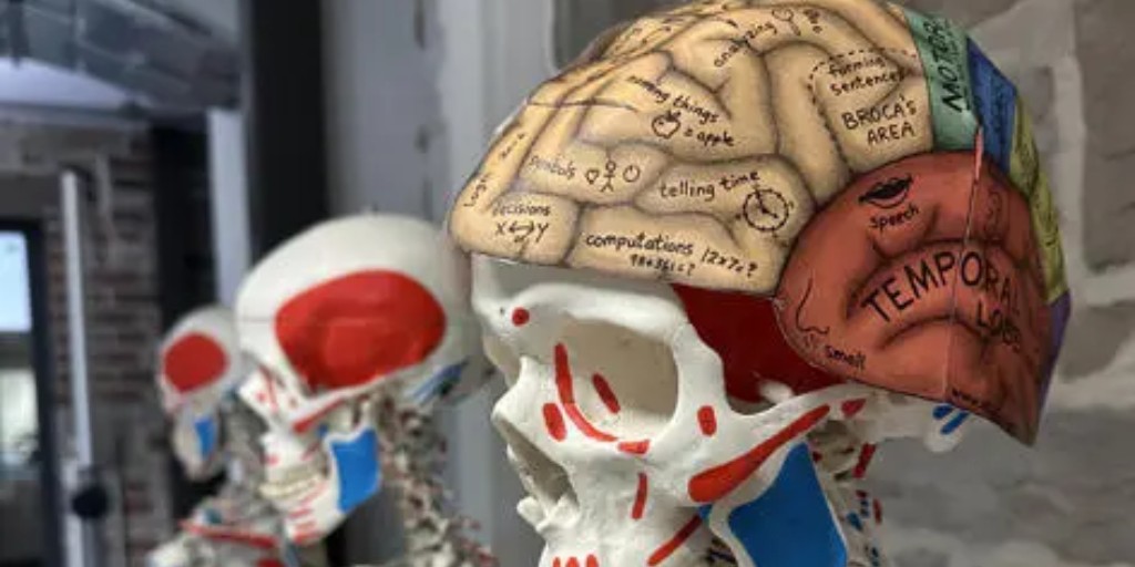 The University of Central Lancashire - UCLan (@uni_lancashire) on Twitter photo Weβre excited to bring the Anatomy Zone to our #Burnley #HealthMela on the 31 May at Victoria Mill.
Come along and explore the human body with our experts.
π§ π«π«π¦΄
Find out more π
ow.ly/o5vG50VUQmv
<a href="/UCLanMedicine/">UCLan School of Medicine</a>
<a href="/PABSUCLan/">UCLan School of Pharmacy & Biomedical Sciences</a>
<a href="/NFHW1/">NFHW</a> Weβre excited to bring the Anatomy Zone to our #Burnley #HealthMela on the 31 May at Victoria Mill.
Come along and explore the human body with our experts.
π§ π«π«π¦΄
Find out more π
ow.ly/o5vG50VUQmv
<a href="/UCLanMedicine/">UCLan School of Medicine</a>
<a href="/PABSUCLan/">UCLan School of Pharmacy & Biomedical Sciences</a>
<a href="/NFHW1/">NFHW</a>