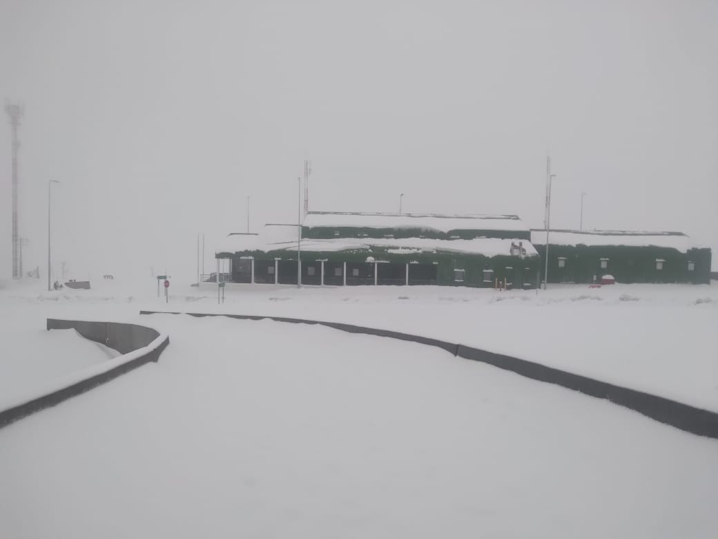 Pasos Fronterizos tweet media