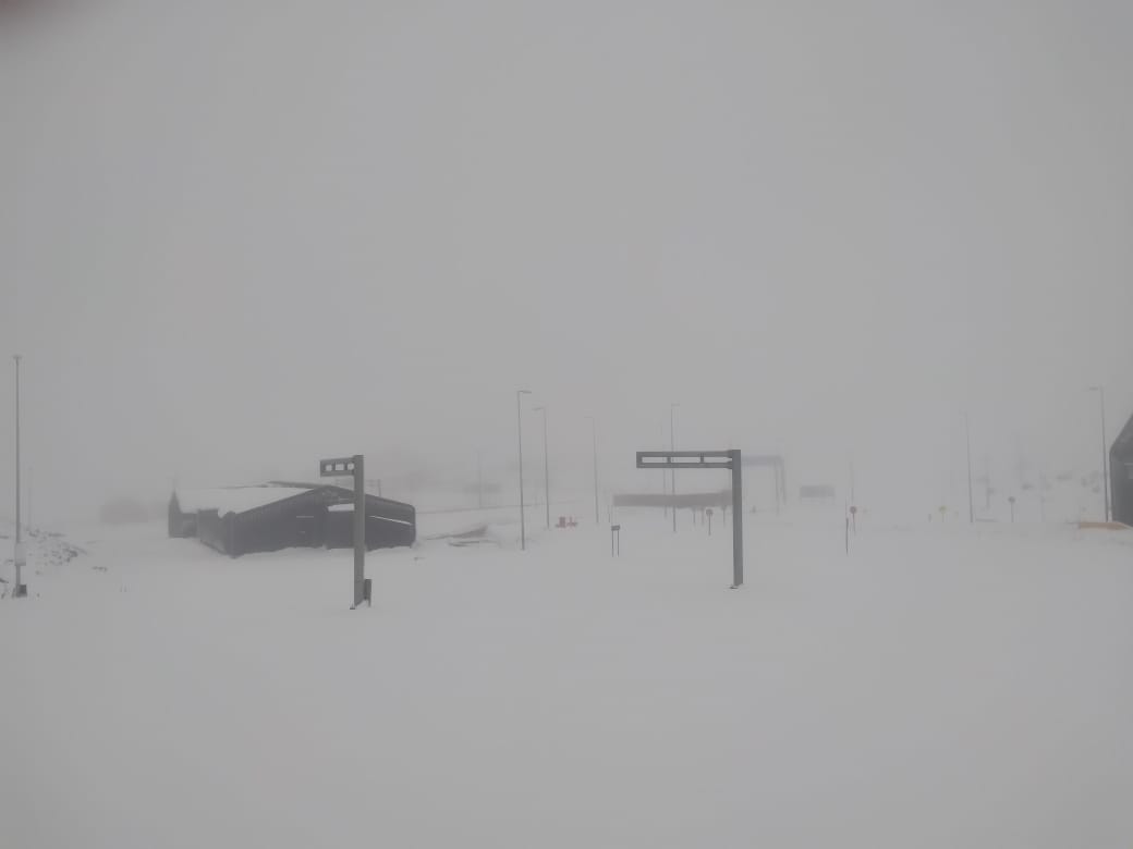 Pasos Fronterizos tweet media