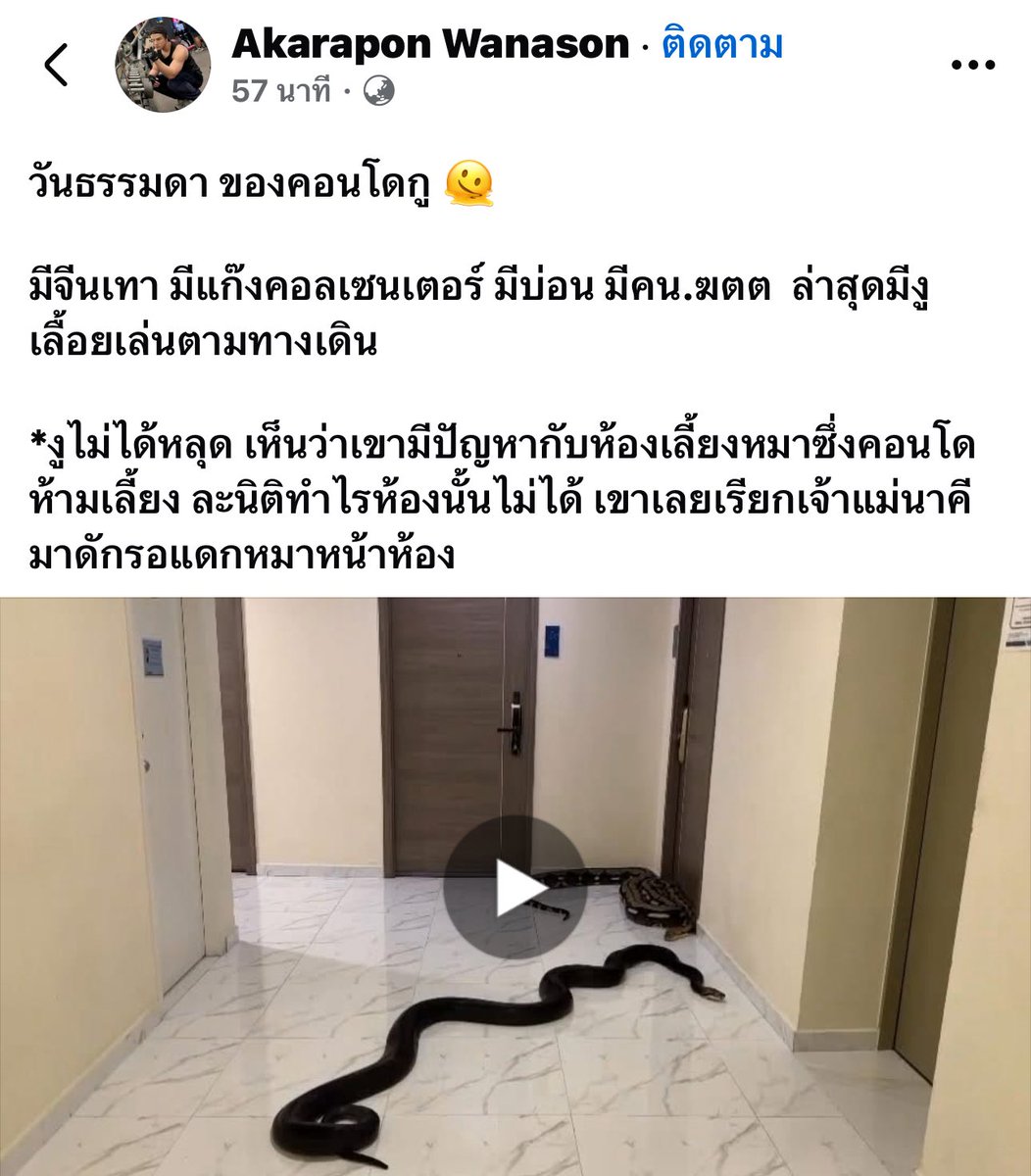 คอนโดหฤหรรษ