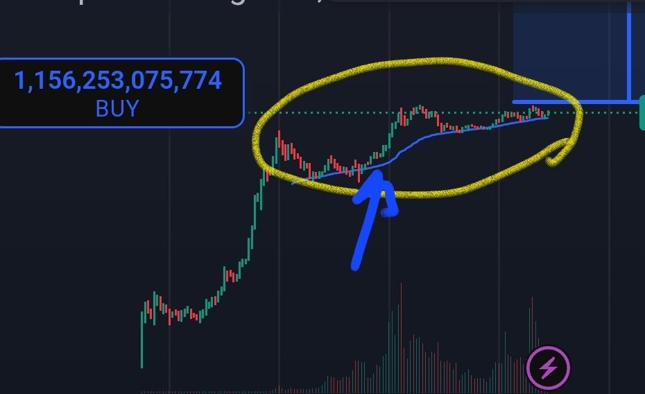 Civitas Vigilans tweet media