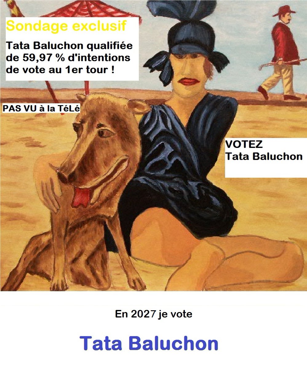 TataBaluchon's tweet photo. Si tu es sincère, si tu veux VRAIMENT que les français puisse choisir leur président, alors, tu vas voter @TataBaluchon !!! https://t.co/1bAledGR2h