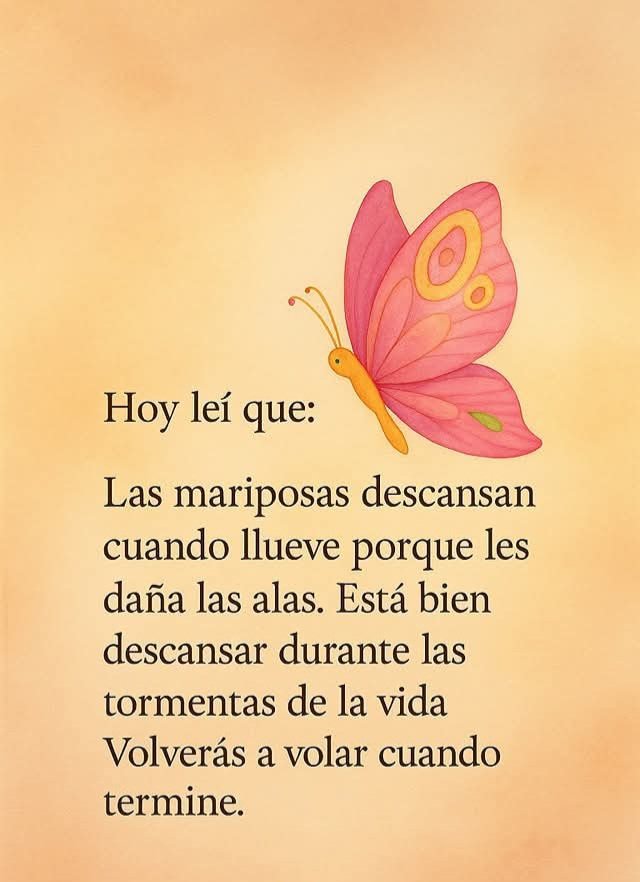 jordaninavarro's tweet photo. 🦋🍃🌿🌾🦋🍃🌿🌾🦋 https://t.co/j73k7dZIQs