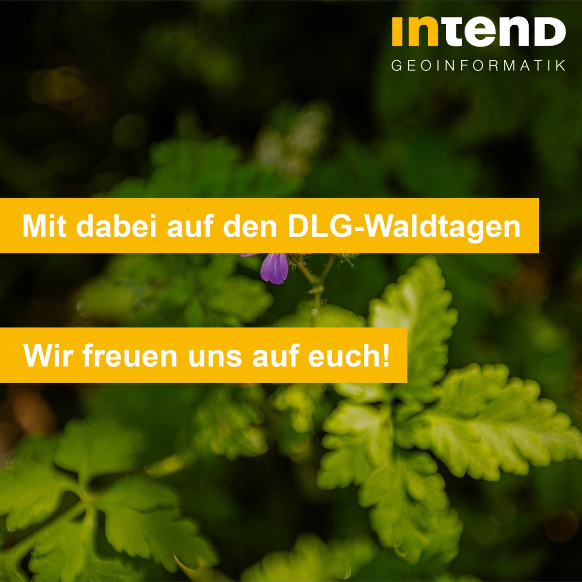 INTEND_geo's tweet photo. Wir sind auf den DLG-Waldtagen 2025!
Vom 12.–14. September findest du uns in Lichtenau/Westfalen.
Wir stellen unsere Lösungen rund um Forst &amp; Digitalisierung vor.
Du bist vor Ort? Dann schau gerne bei uns vorbei – wir freuen uns auf den Austausch!

#DLGWaldtage #INTEND https://t.co/vz1MnquGfd