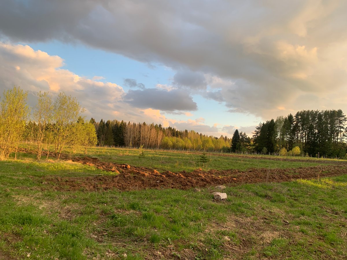 Ничего не происходит. Просто весна.