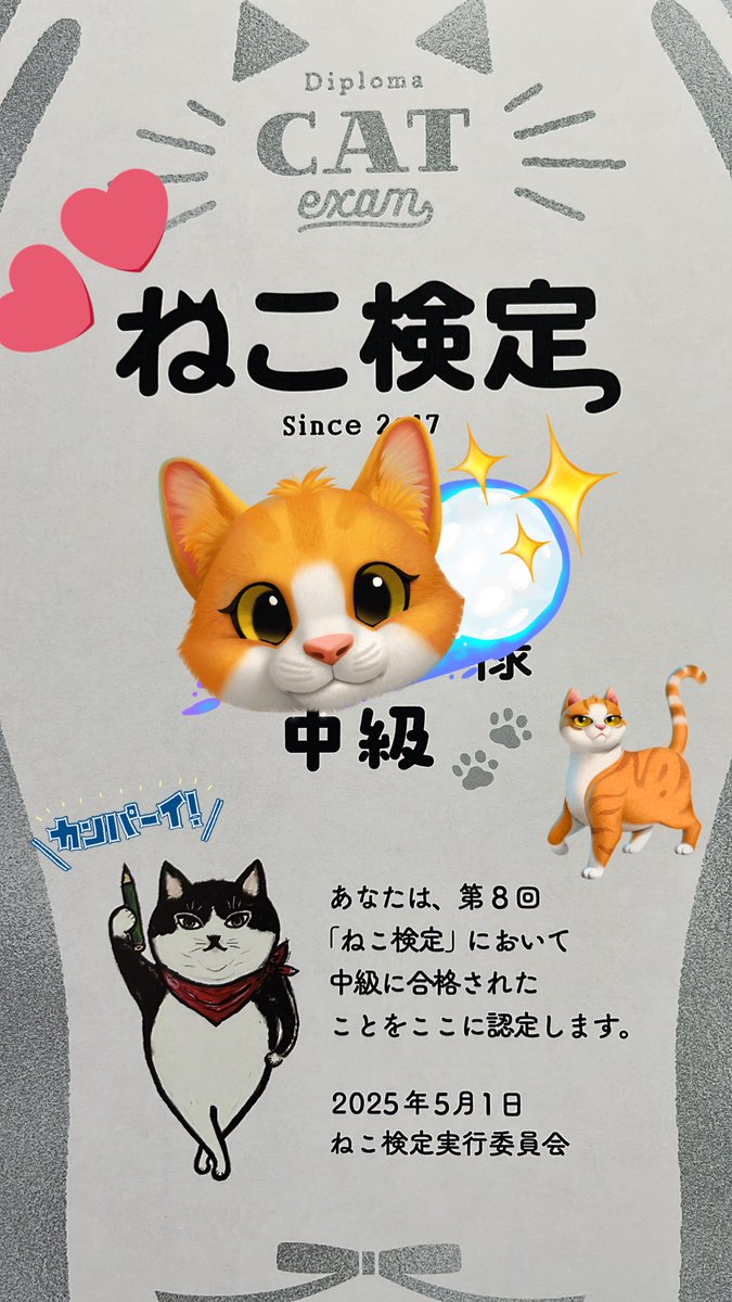meg_8610's tweet photo. あと5点足りなかった🥲🫧
また来年､､､🫠

中級は受かったよ🐱✨✨
 #ねこ検定 https://t.co/2FL0x85kuj