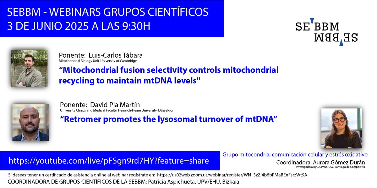 SEBBM (@sebbm_es) on Twitter photo 🗓️El próximo 3 de junio a las 9:30h "Webinar Grupo mitocondria, comunicación celular y estrés oxidativo" coordinado por Aurora Gómez-Durán con 2 ponencias
🗣️ <a href="/Tabara_LC/">Luis Carlos Tábara Rodríguez</a>
🗣️<a href="/Dpla_/">David Pla-Martín</a>
✍️ f.mtr.cool/gjqhsetutj
▶️ Síguelo en directo: f.mtr.cool/lzctccxhpr 🗓️El próximo 3 de junio a las 9:30h "Webinar Grupo mitocondria, comunicación celular y estrés oxidativo" coordinado por Aurora Gómez-Durán con 2 ponencias
🗣️ <a href="/Tabara_LC/">Luis Carlos Tábara Rodríguez</a>
🗣️<a href="/Dpla_/">David Pla-Martín</a>
✍️ f.mtr.cool/gjqhsetutj
▶️ Síguelo en directo: f.mtr.cool/lzctccxhpr