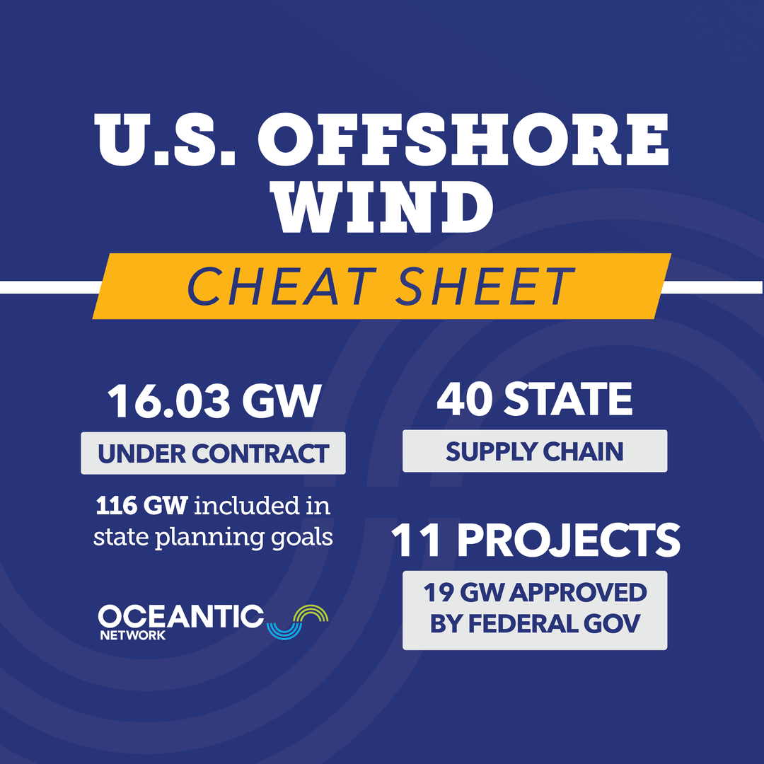 Oceantic Network tweet media