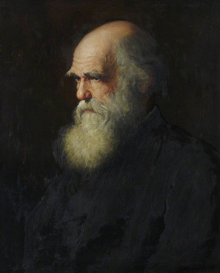 "Hırsızlar çalarken değil, paylaşırken kavga ederler."

— Charles Darwin