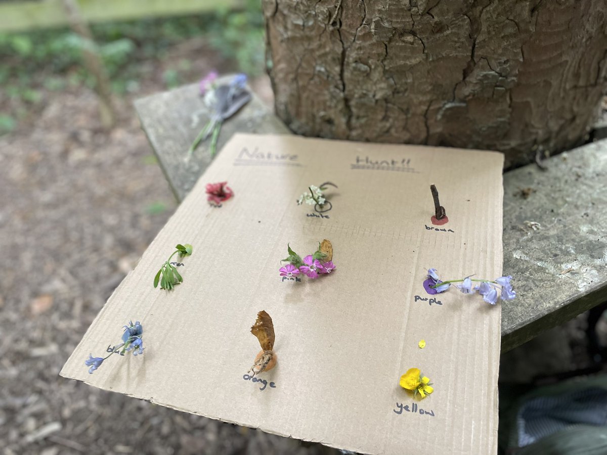 CliffeHouse's tweet image. Nice morning Saplings finding natural colours around the grounds, brewing up in the Kelly Kettles and making shelters. #outdoorlearning #earlyyears #nature #explore #discover @KirkleesCouncil @CLOtC