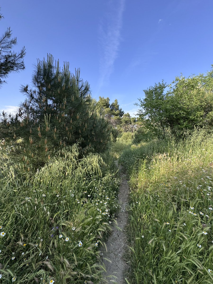 AndyToro tweet media