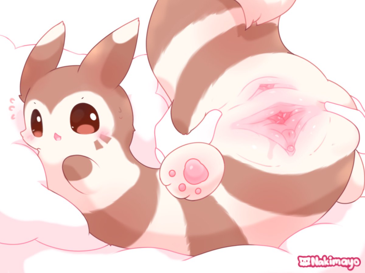yamimayuyu's tweet photo. Furret spread https://t.co/wSAln8OuvF