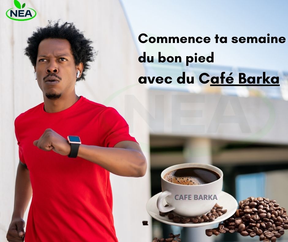 NeaGuinee's tweet photo. Commence ta semaine avec énergie et détermination.
Comme le dit Muhammad Ali : “N’abandonne pas. Souffre maintenant et vis le reste de ta vie comme un champion"
#Guinée #Conakry #NEA #Agroalimentaire #motivation #debutdesemaine https://t.co/Z6k6A5pNVA