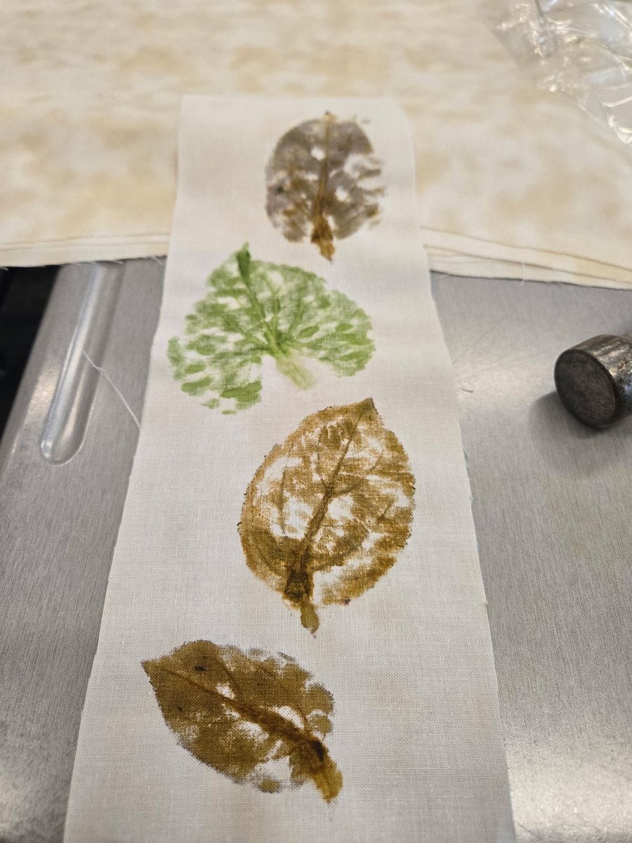 Flowers aren’t just pretty. They’re powerful.
Using the ancient art of Tataki Zome, our students discovered how petals and leaves can become natural paintbrushes.
@lifeatlegacyhigh students got hands-on with nature and left with beautiful botanical prints.🌱
#FHCYouth #PlantPower