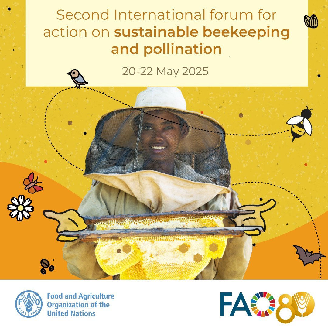 Follow the 2nd Int’l Forum on Sustainable Beekeeping &amp; Pollination!  

🐝Protect pollinators, boost food security, shape policy  

📍Jimma, Ethiopia 

Co-organized by Ethiopia, Slovenia,<a href="/UNIDO/">UNIDO</a>,  <a href="/apimondia/">Apimondia</a> and <a href="/icipe/">icipe</a> 

Find out more ➡️ bit.ly/3F19gS9