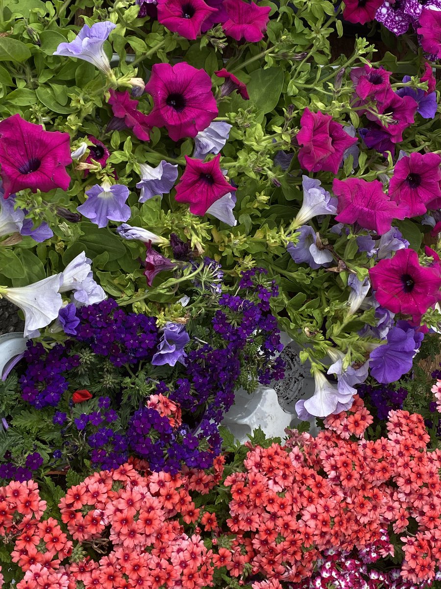 grimumu's tweet image. 