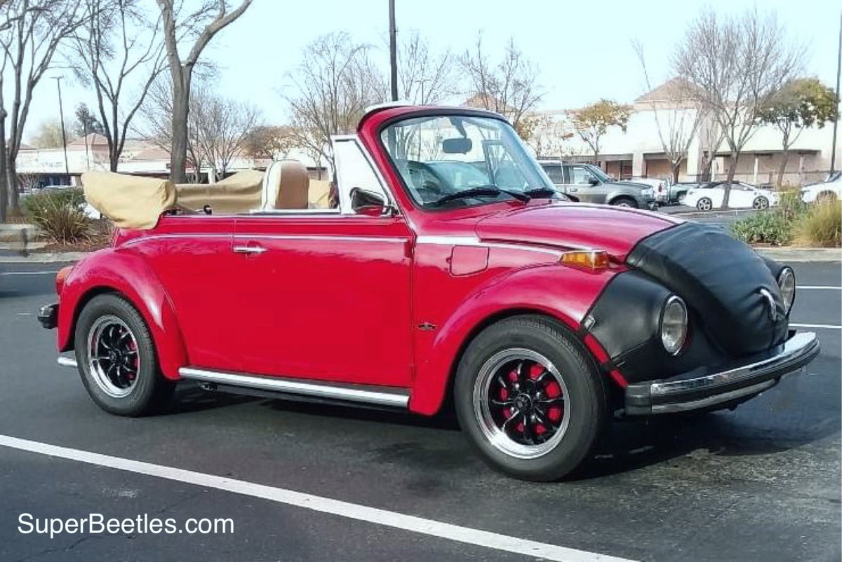 1303 Super Vert with a bra