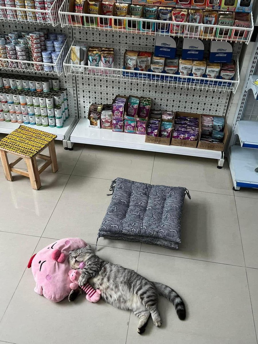 Please do not disturb sleeping employees.