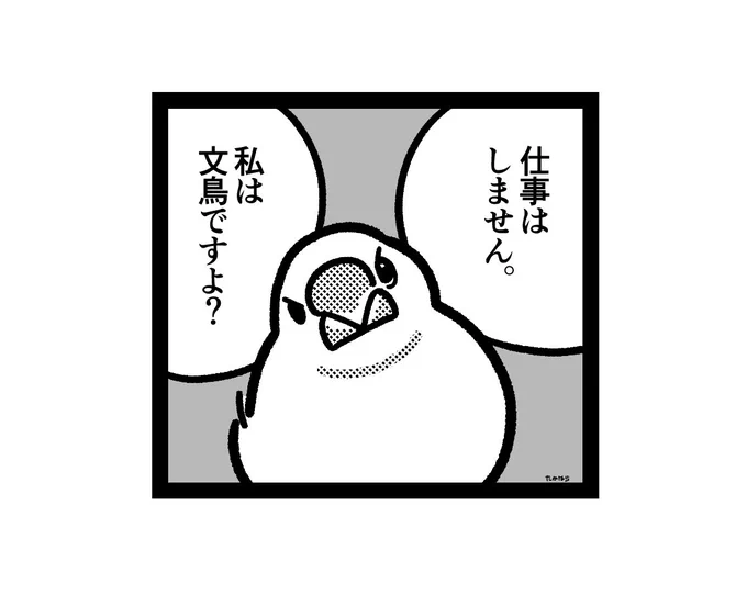 文鳥も手伝って 