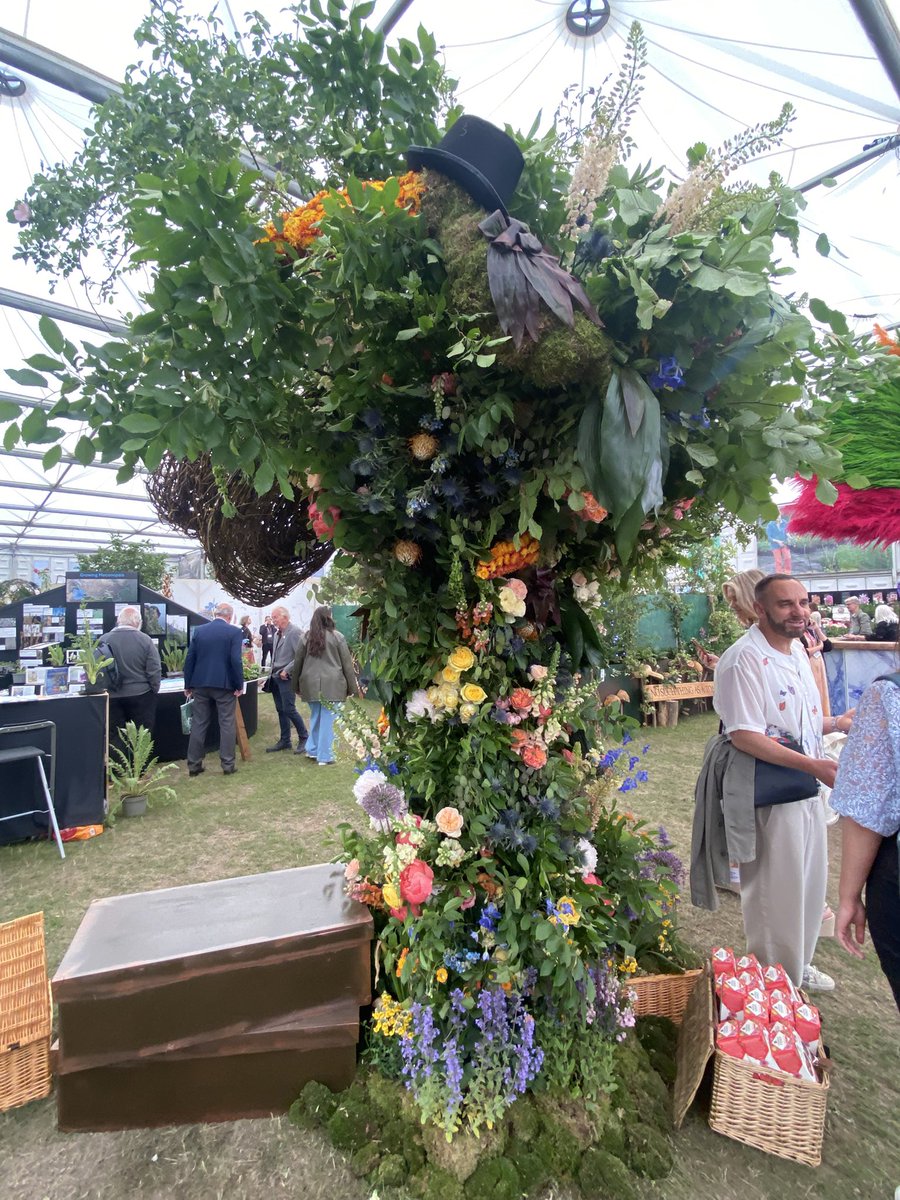 medwynsofangles's tweet image. A very different display of sweet peas from the Isle of White, different but beatiful. There’s also some quite strange exhibits, but all to its own!